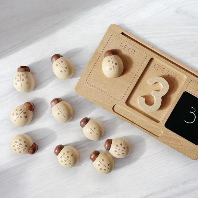 Wooden_Ladybugs_Counting_Toy_10pc._Montessori_Math_Learning_wooden-counting-ladybug-1