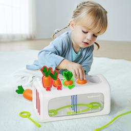 Topbright_Carrot_and_Plant_Sorting_Toy_Topbright-Carrot-Sorting-Toy-3