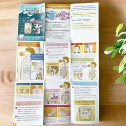 STEM_Science_Kit._Digestive_system_maze,_Build_a_working_eye_model_stem-kit-4