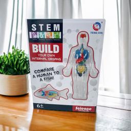 STEM_Science_Kit._Build_you_own_Internal_Organs._Anatomy_comparison_STEM-build-own-body-1
