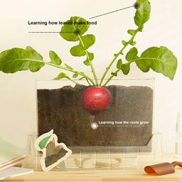 Plant_Observation_Kit._Montessori_Educational_Science_Toy._03cn-MiDeerAllthingsgrow-LittlePlantObserverMD4196-www-ho