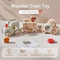 Montessori_inspired_wooden_train_cognitive_training_toy_wooden-tray-12