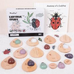 Montessori_inspired_wooden_lady_bug_educational_counting_toy_wooden-ladybug-counting-educational-toy-6