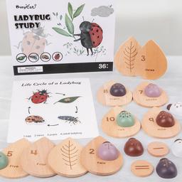 Montessori_inspired_wooden_lady_bug_educational_counting_toy_wooden-ladybug-counting-educational-toy-5