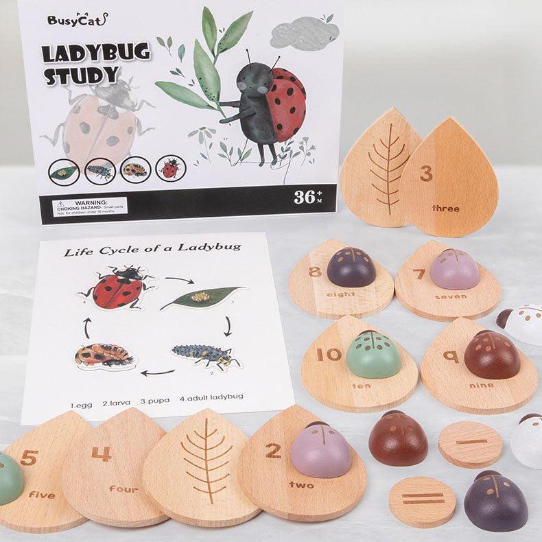 Montessori_inspired_wooden_lady_bug_educational_counting_toy_wooden-ladybug-counting-educational-toy-5