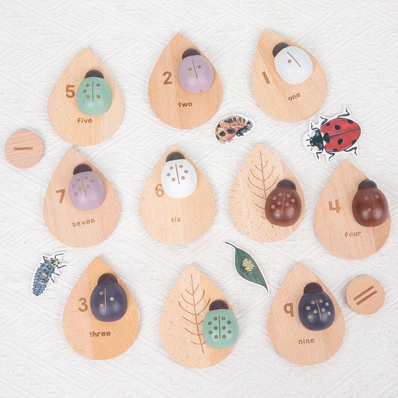 Montessori_inspired_wooden_lady_bug_educational_counting_toy_wooden-ladybug-counting-educational-toy-3