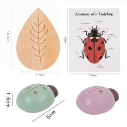 Montessori_inspired_wooden_lady_bug_educational_counting_toy_wooden-ladybug-counting-educational-toy-specs2