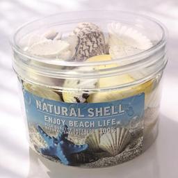 Mixed_Sea_shells._Ocean_theme_sensory_play._Craft._Nautical_Decor._Home_Aquarium_seashells-0_60ecbec6-f09d-4b2b-97fd