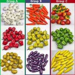 Mini_vegetables._Pack_of_53_variety._Kitchen_food_toy._Sensory_play_mini-vegetablescopy_99f27079-6e84-4c01-af6d-2175