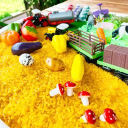 Farm_Theme_Sensory_Play_Set._Pretend_Play._Sensory_exploration_farm-theme-1