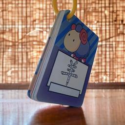 Chinese_Early_Learning_Magic_Water_Drawing_Flash_Cards_learn-chinese-6