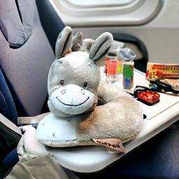 Belgium_Soft_Toy_Brand._Nattou_Baby_Neck_Pillow._Baby_Travel_accessories_kid-neck-pillow-1