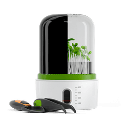 Topbright 植物成長觀察站 兒童自然科學實驗