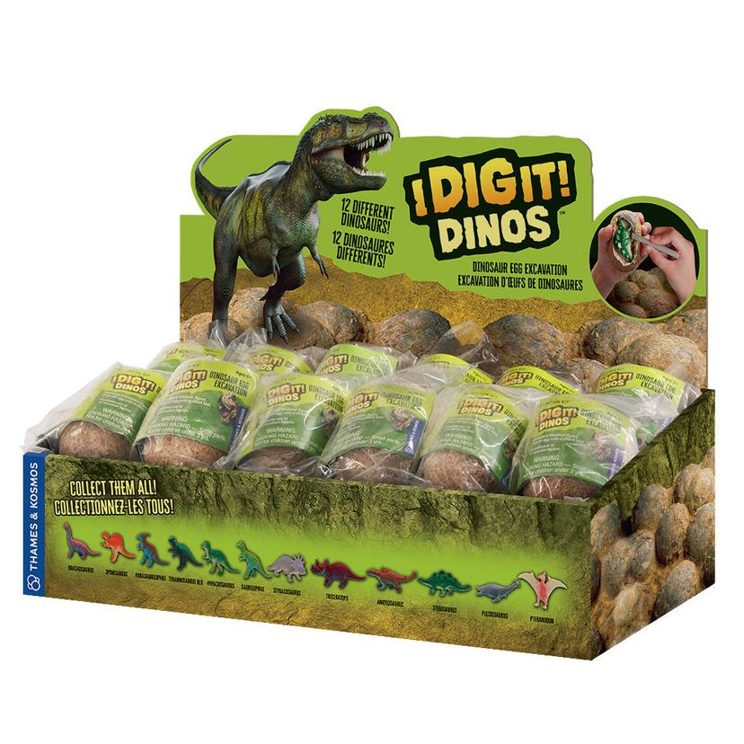 Thames &amp; Kosmos I Dig It! Dinos 恐龍蛋（24 件裝展示盒）- 2L（英/法）
