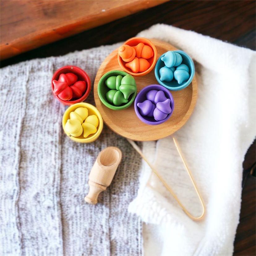 Wooden_acorn_colour_sorting._Tweezer_and_Scoop_included._Fine_Motor_Skill_Development_wooden-acorn-colour-sorting-ga