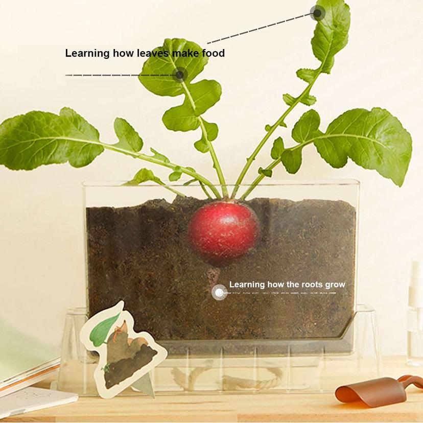 Plant_Observation_Kit._Montessori_Educational_Science_Toy._03cn-MiDeerAllthingsgrow-LittlePlantObserverMD4196-www-ho
