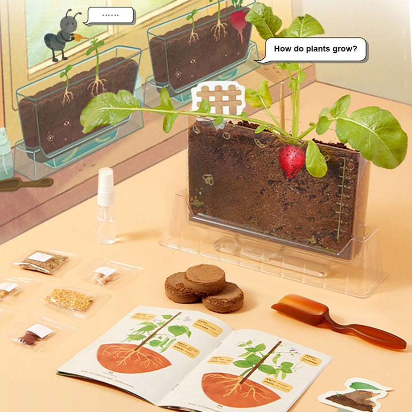 Plant_Observation_Kit._Montessori_Educational_Science_Toy._02cn-MiDeerAllthingsgrow-LittlePlantObserverMD4196-www-ho