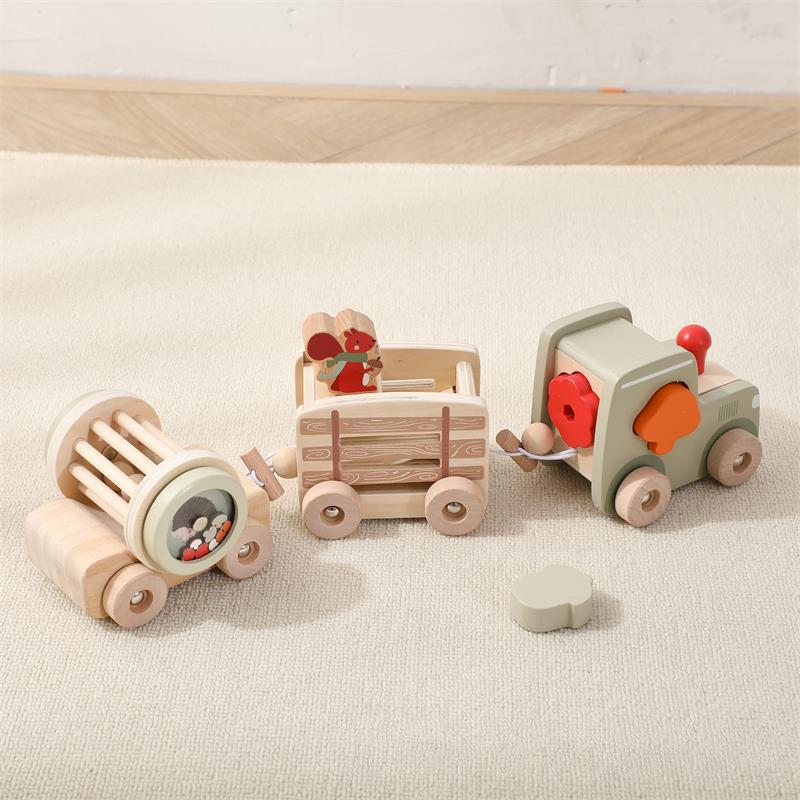 Montessori_inspired_wooden_train_cognitive_training_toy_wooden-train-2