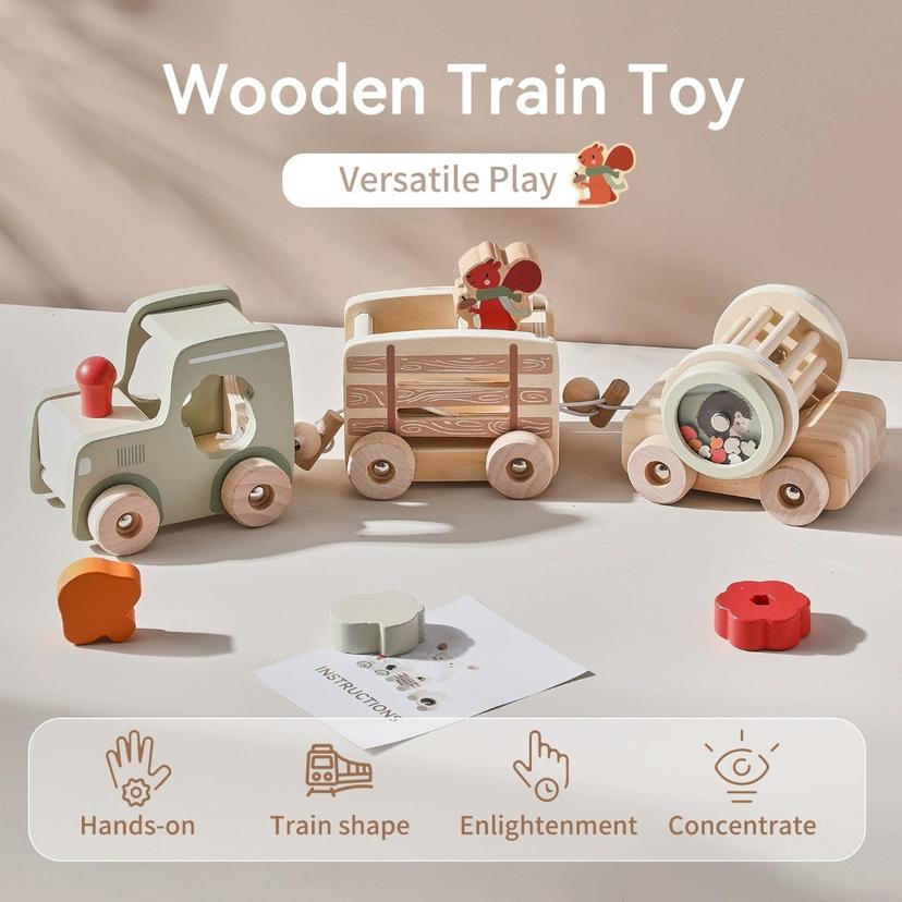 Montessori_inspired_wooden_train_cognitive_training_toy_wooden-tray-12