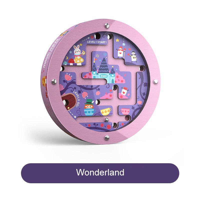 Double_Sided_Marble_Maze._Fine_Motor_Skill_development_O1CN015GSZJQ1sG3MiTChoZ__2631635738-0-cib