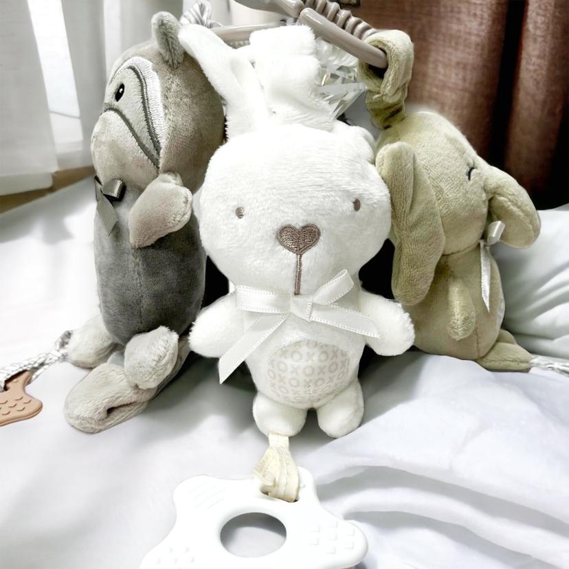Baby_Trio_Stroller_Toy_with_Silicone_Teether_bbsky-trio-3