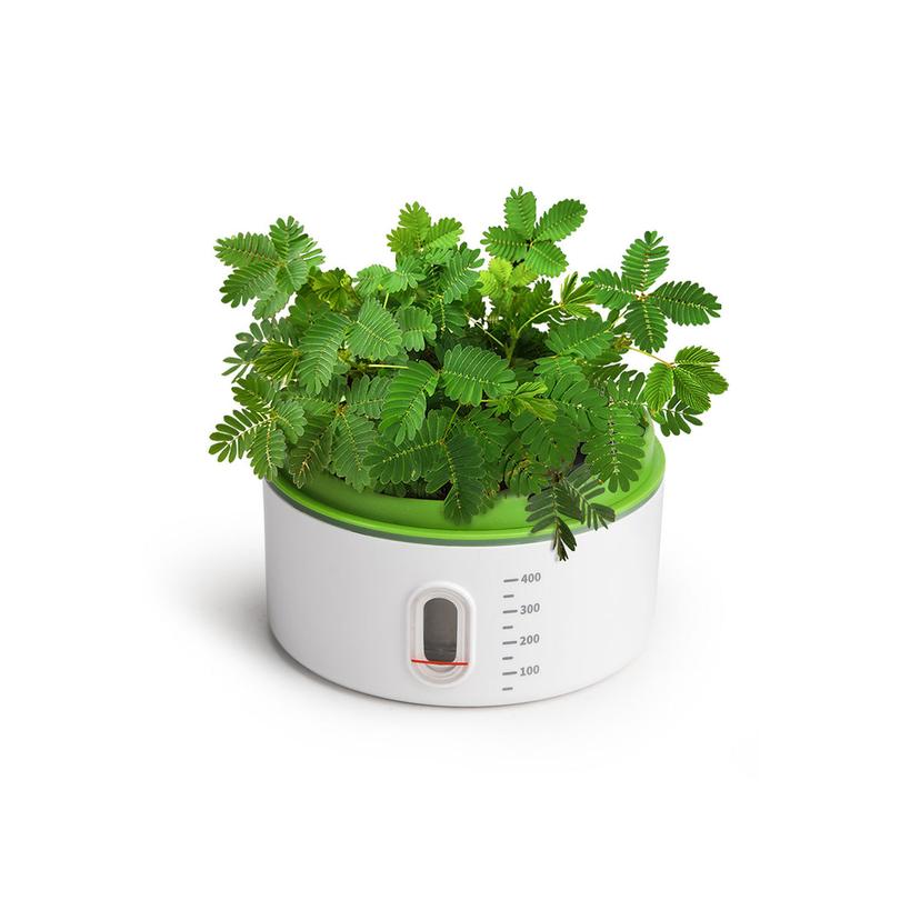 Topbright 植物成長觀察站 兒童自然科學實驗
