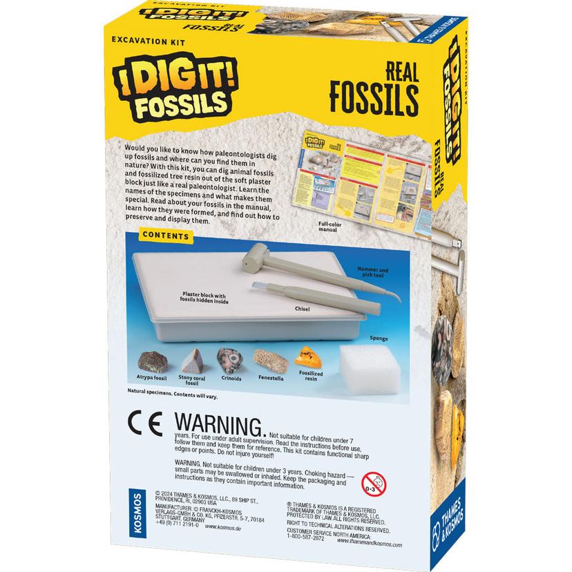 Thames & Kosmos I Dig It! 化石——真實化石挖掘套件
